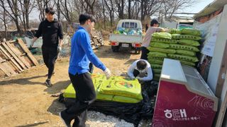 감자 고추11723님의 감자 · 영농일지 작성글 사진