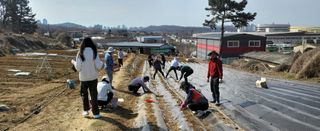 감자 고추11723님의 감자 · 영농일지 작성글 사진