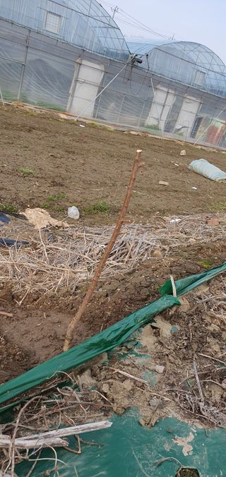 최창순님의 자유주제 · 자유게시판 작성글 사진