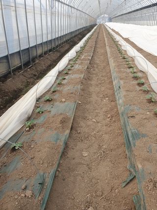 김옥자님의 자유주제 · 자유게시판 작성글 사진