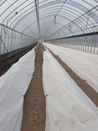 김옥자님의 자유주제 · 자유게시판 작성글 사진