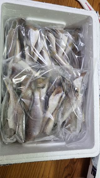 사과20730님의 자유주제 · 자유게시판 작성글 사진