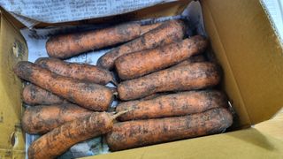 사과20730님의 자유주제 · 자유게시판 작성글 사진