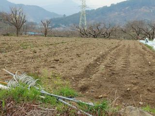 안길원님의 4월 농사계획 공유해요 · 참여글 작성글 사진