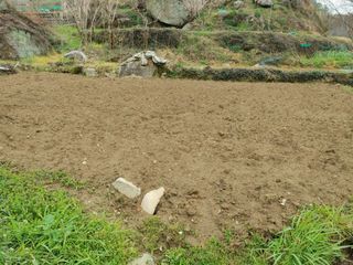 안길원님의 4월 농사계획 공유해요 · 참여글 작성글 사진