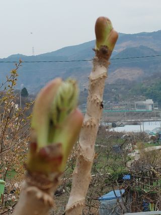 안길원님의 4월 농사계획 공유해요 · 참여글 작성글 사진