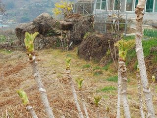 안길원님의 4월 농사계획 공유해요 · 참여글 작성글 사진
