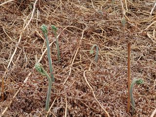 안길원님의 4월 농사계획 공유해요 · 참여글 작성글 사진