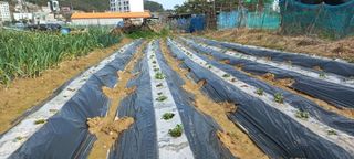 권대경님의 자유주제 · 사진전 작성글 사진