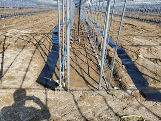 약초꾼님의 자유주제 · 자유게시판 작성글 사진