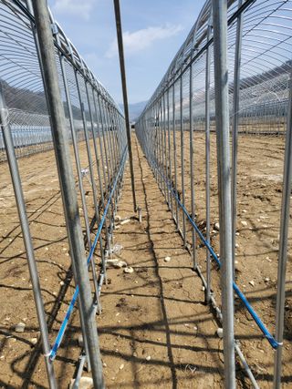 약초꾼님의 자유주제 · 자유게시판 작성글 사진