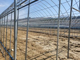 약초꾼님의 자유주제 · 자유게시판 작성글 사진