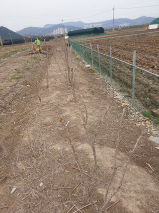 도시부부농부님의 자유주제 · 자유게시판 작성글 사진