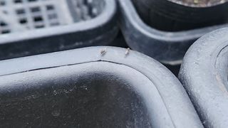 연지골농원_단야님의 농사, 무엇이든 물어보세요! · 참여글 작성글 사진