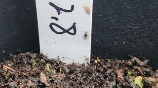 연지골농원_단야님의 농사, 무엇이든 물어보세요! · 참여글 작성글 사진