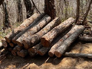 마경구님의 버섯 · 영농일지 작성글 사진