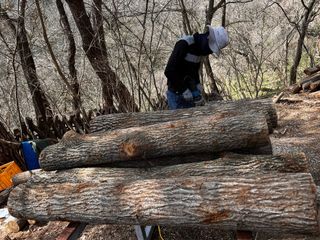 마경구님의 버섯 · 영농일지 작성글 사진