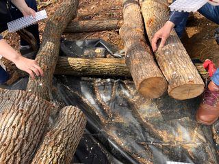 마경구님의 버섯 · 영농일지 작성글 사진