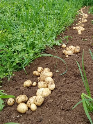 이영민님의 작성글 사진