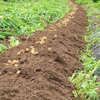 이영민님의 작성글 사진