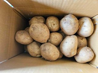 이영민님의 작성글 사진