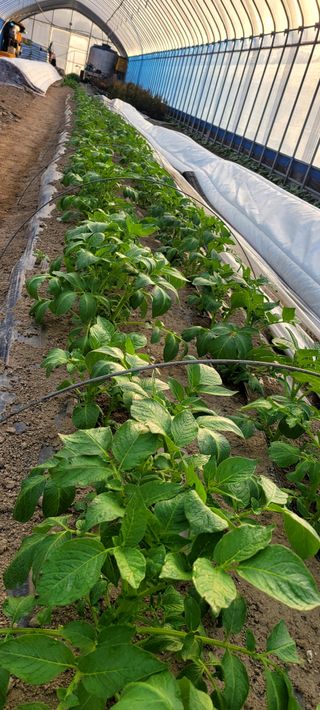 심기섭님의 자유주제 · 자유게시판 작성글 사진