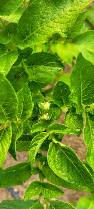 심기섭님의 자유주제 · 자유게시판 작성글 사진