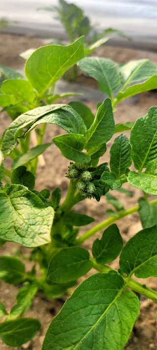 심기섭님의 자유주제 · 자유게시판 작성글 사진