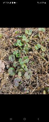 팜모닝 · 게시글 이미지