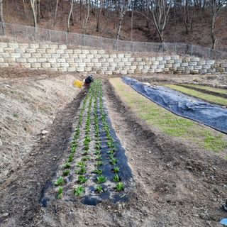 이종권님의 자유주제 · 자유게시판 작성글 사진