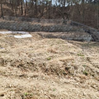 이종권님의 자유주제 · 자유게시판 작성글 사진