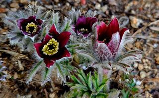 치자19496님의 자유주제 · 사진전 작성글 사진