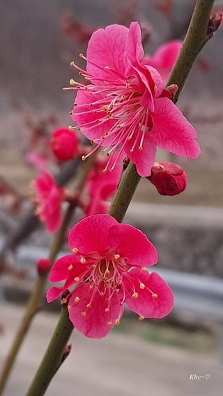 치자19496님의 자유주제 · 사진전 작성글 사진