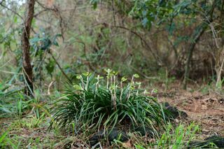 치자19496님의 자유주제 · 사진전 작성글 사진