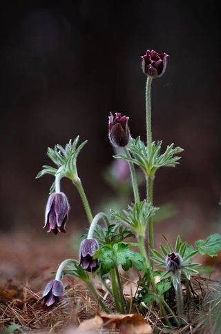 치자19496님의 자유주제 · 사진전 작성글 사진