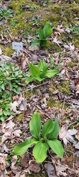 팜모닝 농사, 무엇이든 물어보세요!·참여글 게시글 이미지