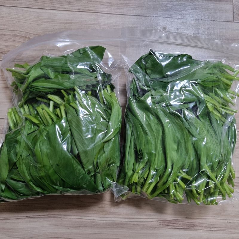 훈&팜님의 장터 판매 상품 [명이나물 1kg] 첨부 사진