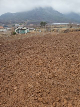 김영복님의 4월 농사계획 공유해요 · 참여글 작성글 사진