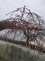 팜모닝 4월 농사계획 공유해요·참여글 게시글 이미지