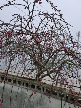 송기문님의 4월 농사계획 공유해요 · 참여글 작성글 사진