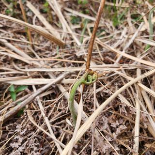 제주부자팜님의 자유주제 · 자유게시판 작성글 사진