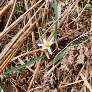 제주부자팜님의 자유주제 · 자유게시판 작성글 사진
