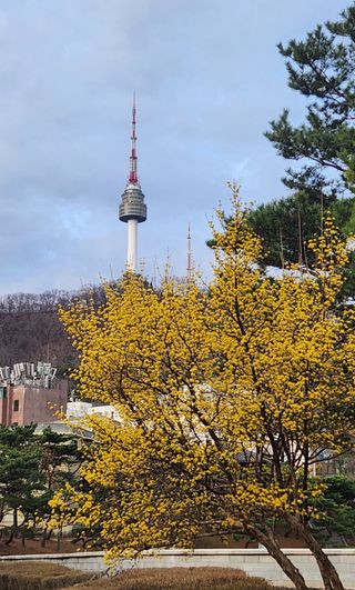 정진님의 자유주제 · 사진전 작성글 사진