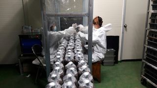 제현숙드림버섯농장님의 버섯 · 영농일지 작성글 사진