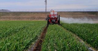 농사꾼 단비님의 자유주제 · 자유게시판 작성글 사진