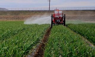 농사꾼 단비님의 자유주제 · 자유게시판 작성글 사진