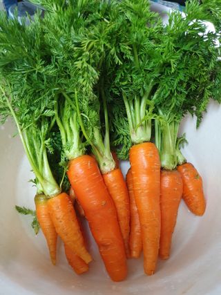 고사리9794님의 자유주제 · 자유게시판 작성글 사진