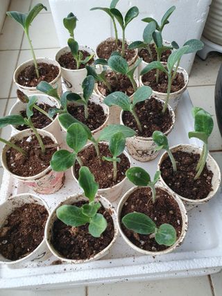 고사리9794님의 자유주제 · 자유게시판 작성글 사진