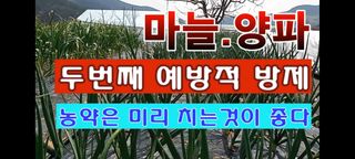 정찬영님의 자유주제 · 자유게시판 작성글 사진