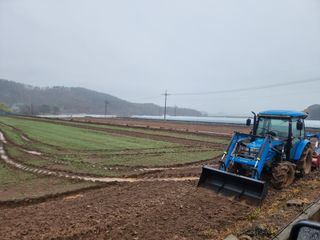 정영기대산축산농부♡님의 벼 · 영농일지 작성글 사진